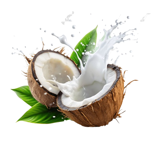 pngtree-fresh-broken-coconut-with-milk-splash-on-a-transparent-background-png-image_14916708-removebg-preview